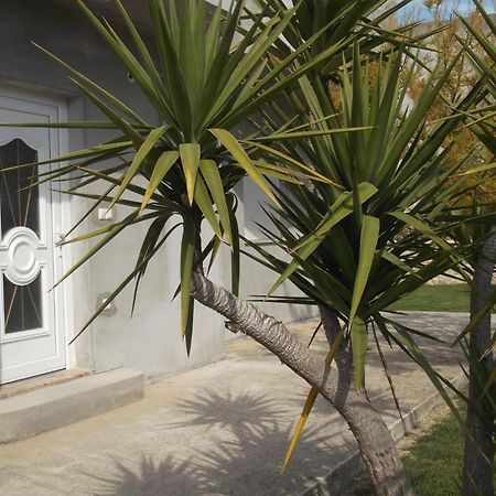 Kaštela Apartments Ivica מראה חיצוני תמונה